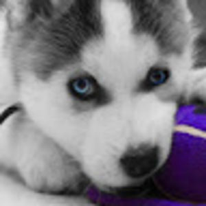 Meet your Posher, Elena